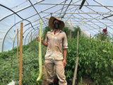 Cucuzza Gourd