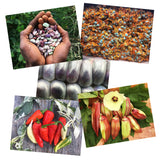Seed Keeping: Resilience & Resistance greeting cards