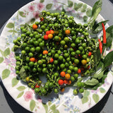 Pea Eggplant (Noong Ta Klong Pea)