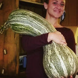 Green Striped Cushaw Squash