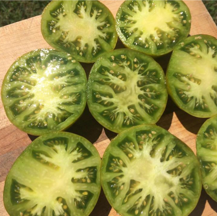 Moldovan Green Tomato