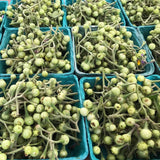 Pea Eggplant (Noong Ta Klong Pea)