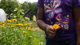 Resina Calendula