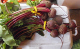 Robuschka Beet