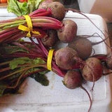 Robuschka Beet