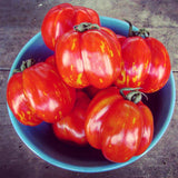 Schimmeig Stoo Stuffing Tomato