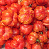 Schimmeig Stoo Stuffing Tomato