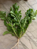 Sicilian Rocket (Arugula)
