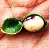 Bambara Groundnuts Mix