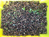 Bambara Groundnuts Mix