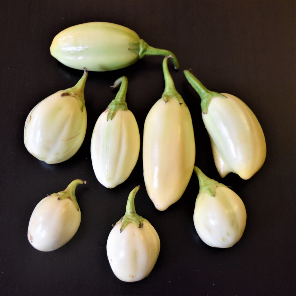 garden egg seeds White Garden Egg (Eggplant)