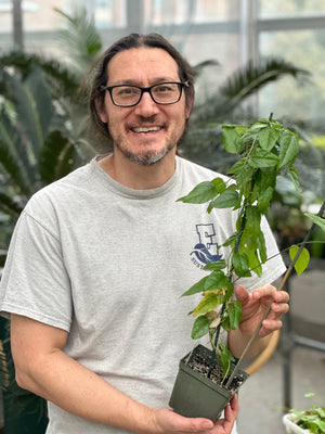 EP. 26: Saving Spiny Nightshades, Breeding Cannabis, Adapting Tropical Crops, and much more with Northeastern Connecticut Botanist Bryan Connolly