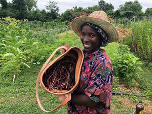 EP 16: Keeping Indigenous Seeds in Kenya with Akoth Ambugo