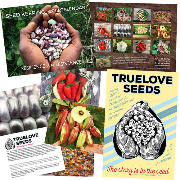 Alpha Calendula – Truelove Seeds