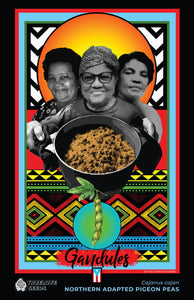 Philadelphia Stories Collection: Northern Adapted Pigeon Peas (Gandules) *POSTER*