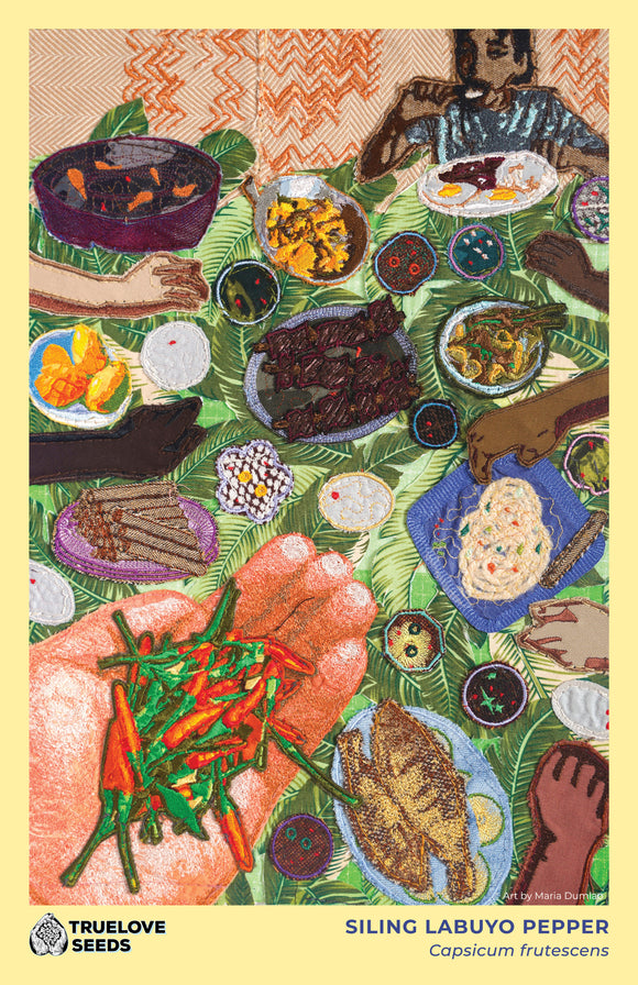 Philadelphia Stories Collection: Siling Labuyo Pepper *POSTER ...