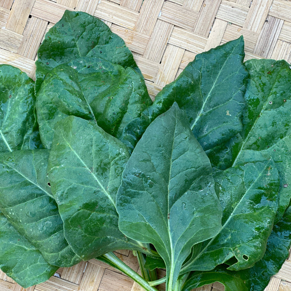 Sengara Swiss Chard
