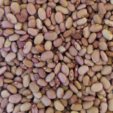 Bolita Bean