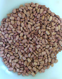 Bolita Bean