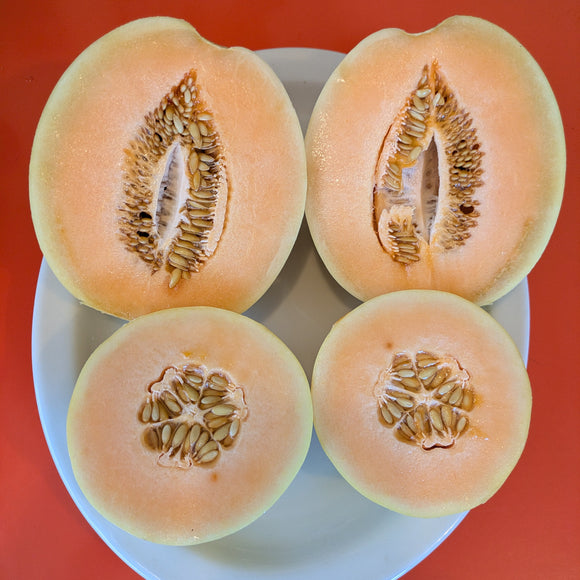 Huerfano Bliss Melon