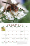 2025 Seed Keeping Calendar: the Microfauna of Truelove Seeds