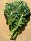 Yanagawa Takana Mustard