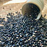 Holstein Southern Pea