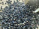 Holstein Southern Pea