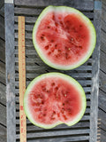Osh Kirgizia Watermelon