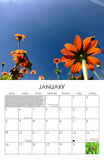 2020 Seed Keeping Calendar