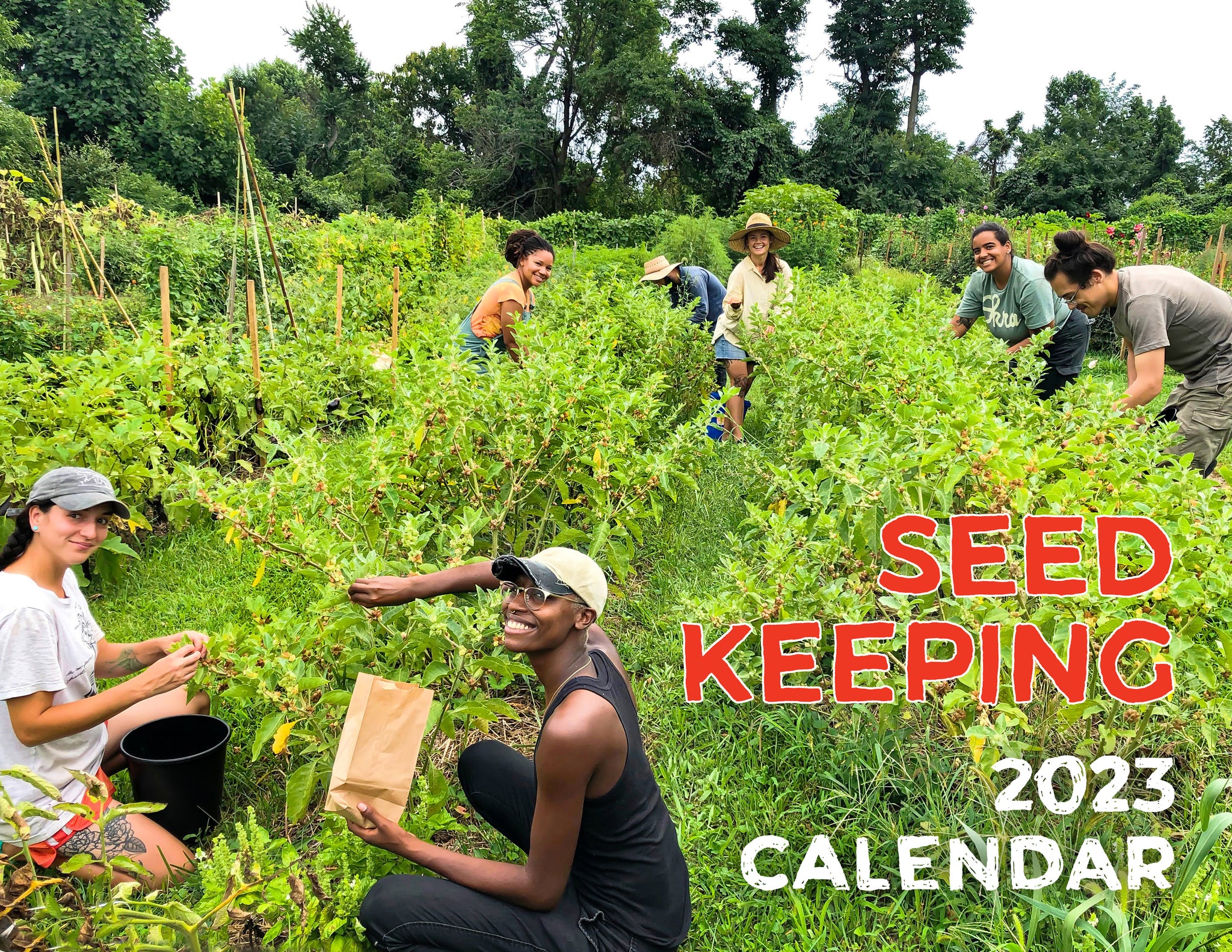 best days to plant seeds 2023 2023 Seed Keeping Calendar – Truelove Seeds
