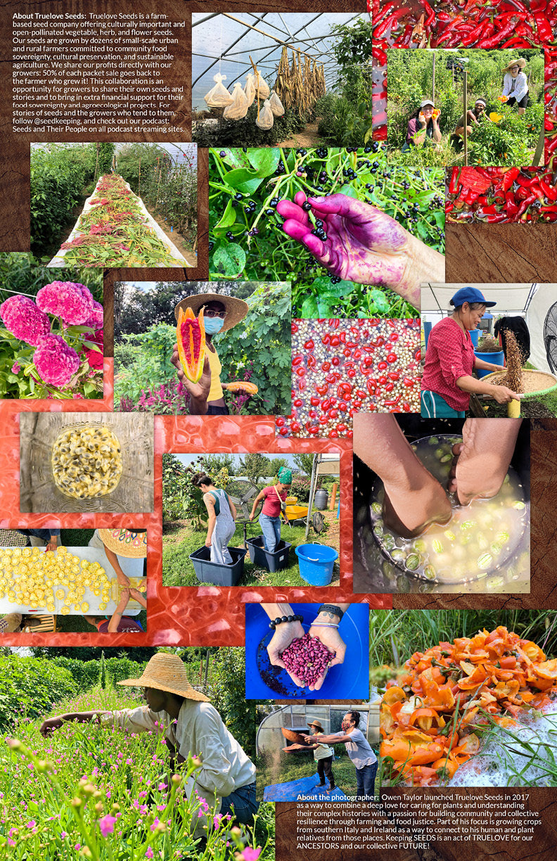 garden seeds for 2023 2023 Seed Keeping Calendar – Truelove Seeds