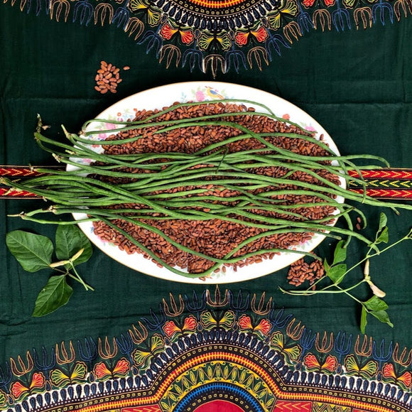 Learn to embroider - The little Green Bean