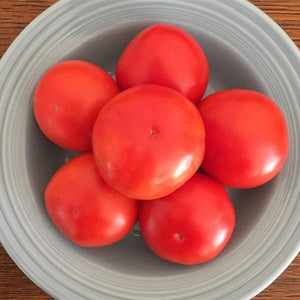 Chalk's Early Jewel Tomato