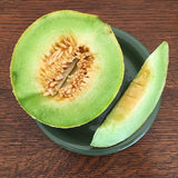 Green Nutmeg Melon