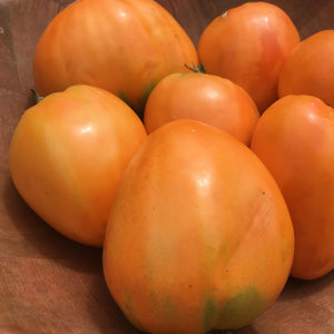 Coeur de Boeuf Orange Tomato