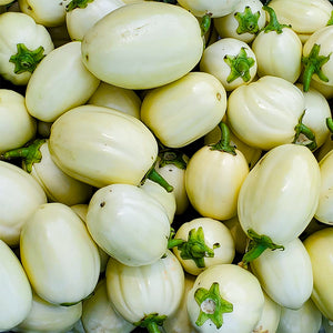 african garden egg seeds Intore (African Eggplant) – Truelove Seeds