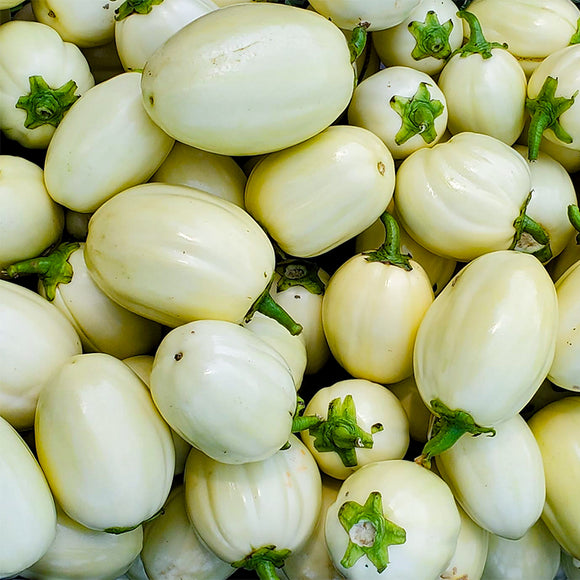 Intore (African Eggplant)