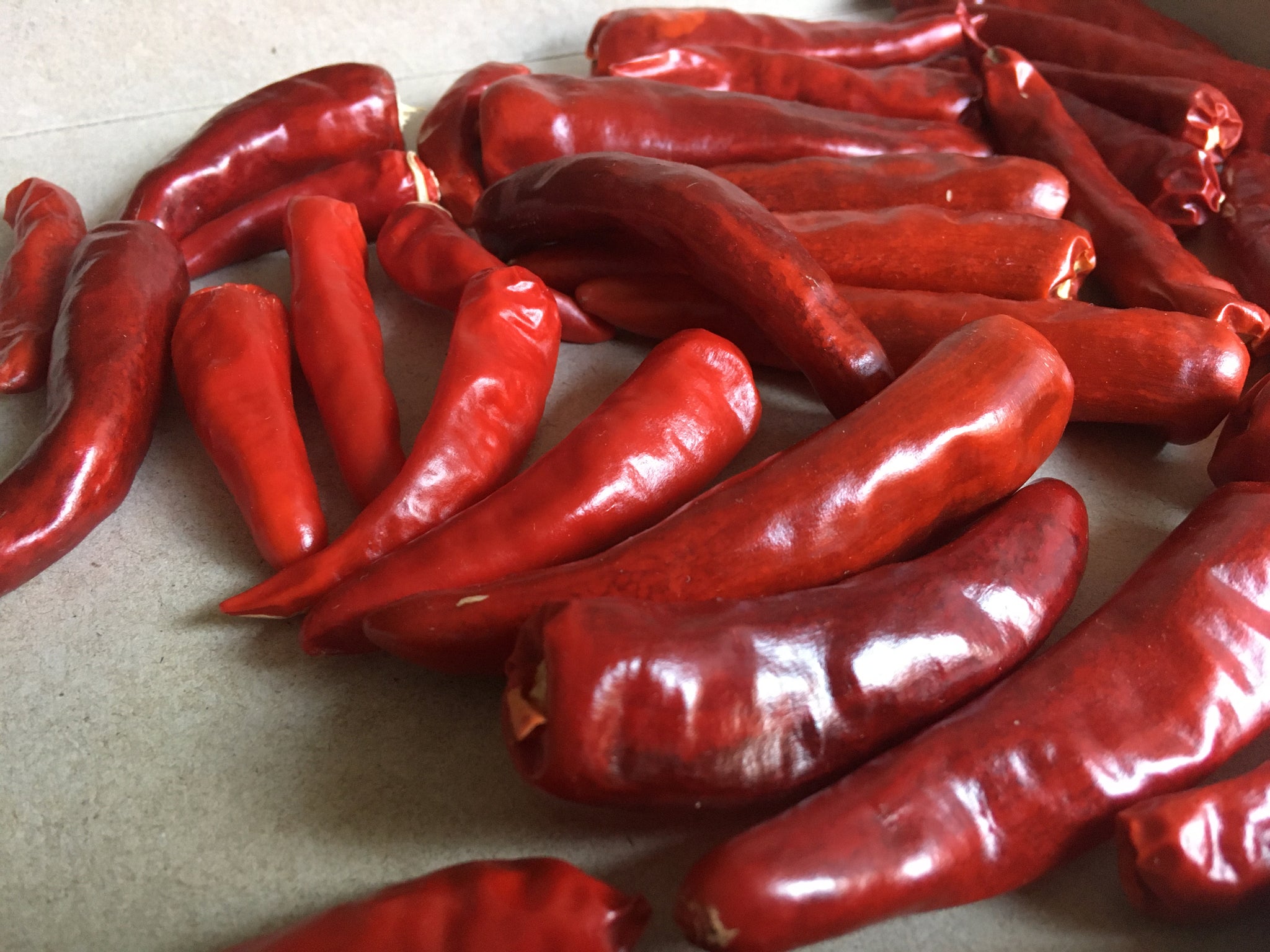 Hong Gochu Korean Hong-Gochu Pepper – Truelove Seeds