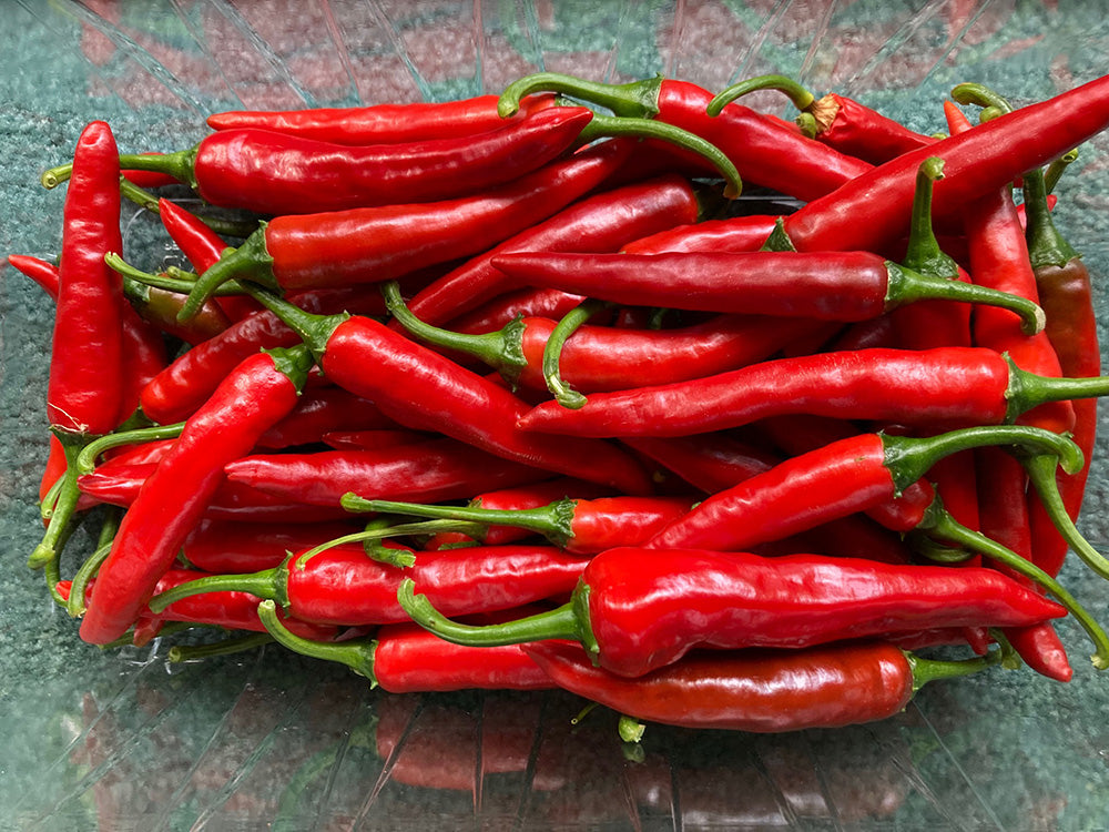 Hong Gochu Korean Hong-Gochu Pepper – Truelove Seeds