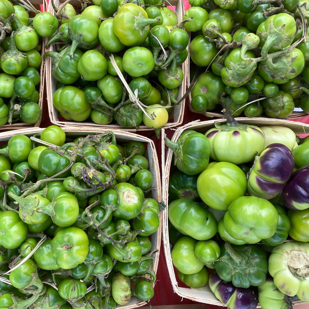 Liberian Green Pumpkin Bitterball Truelove Seeds