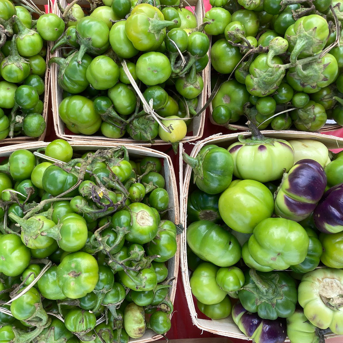 Liberian Green Pumpkin Bitterball – Truelove Seeds
