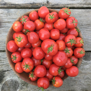 Plate de Haiti Tomato