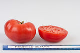 Redfield Beauty Tomato