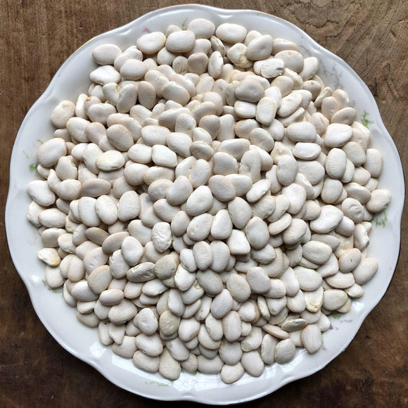 Panther Edamame Soybean – Truelove Seeds