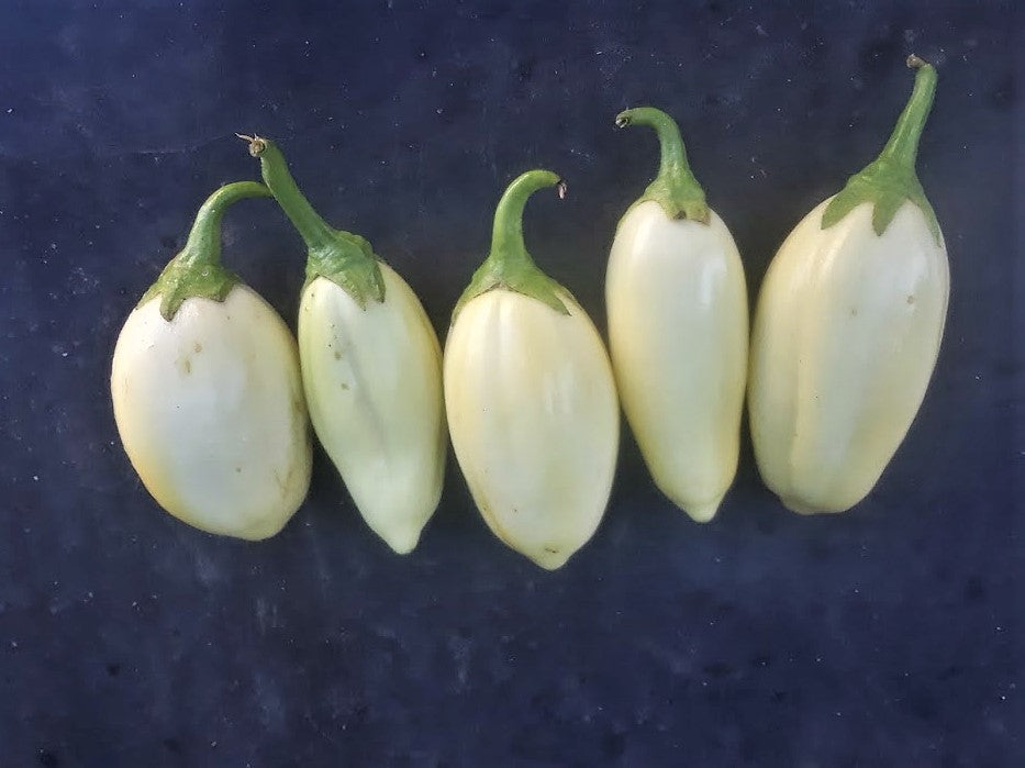 garden egg seed for sale White Garden Egg (Eggplant)