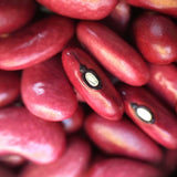 Frijol Rojo de Seda (Red Silk Bean)