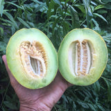 Green Nutmeg Melon halved