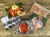 Seed Keeping: Resilience & Resistance greeting cards