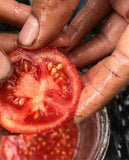 Moyamensing Tomato